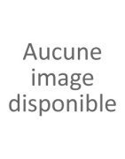 Feux arrière